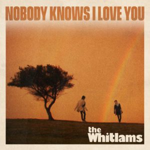 Nobody Knows I Love You single cover